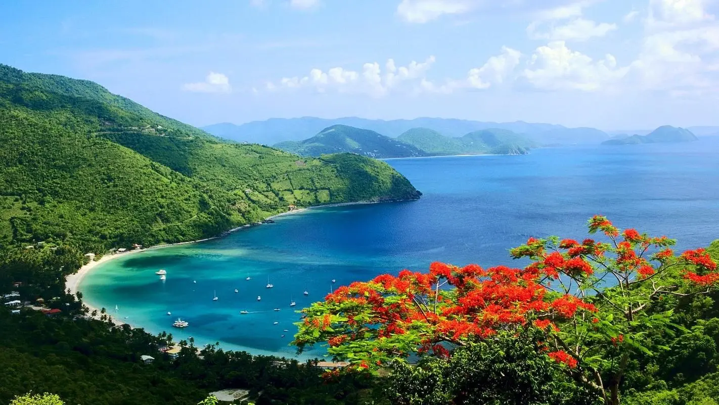 科技高效